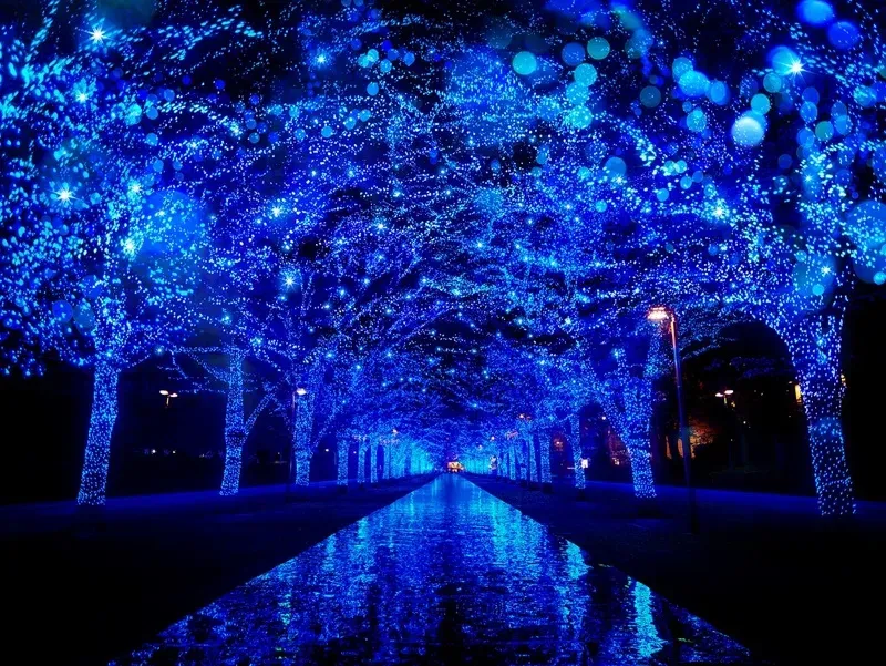 Zelkova trees lit blue along the avenue toward Yoyogi Park at Ao no Dokutsu SHIBUYA in 2025