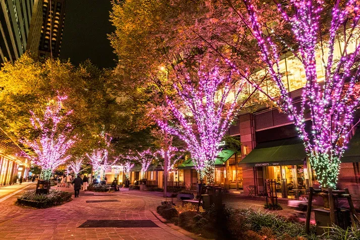 Trees lit pink and white around Tokyo Midtown Hibiya