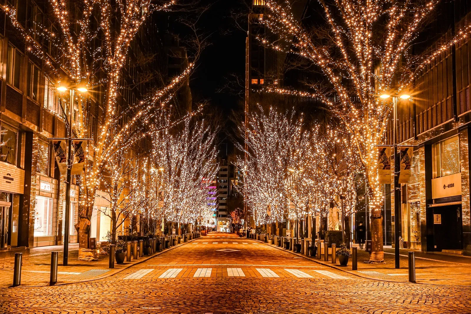 Marunouchi Naka-dori lined with trees lit in champagne gold