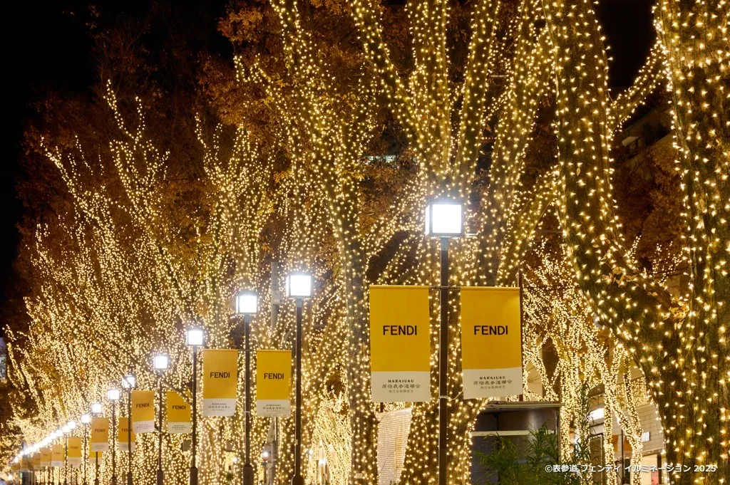 Zelkova trees lit gold along Omotesando avenue in 2025
